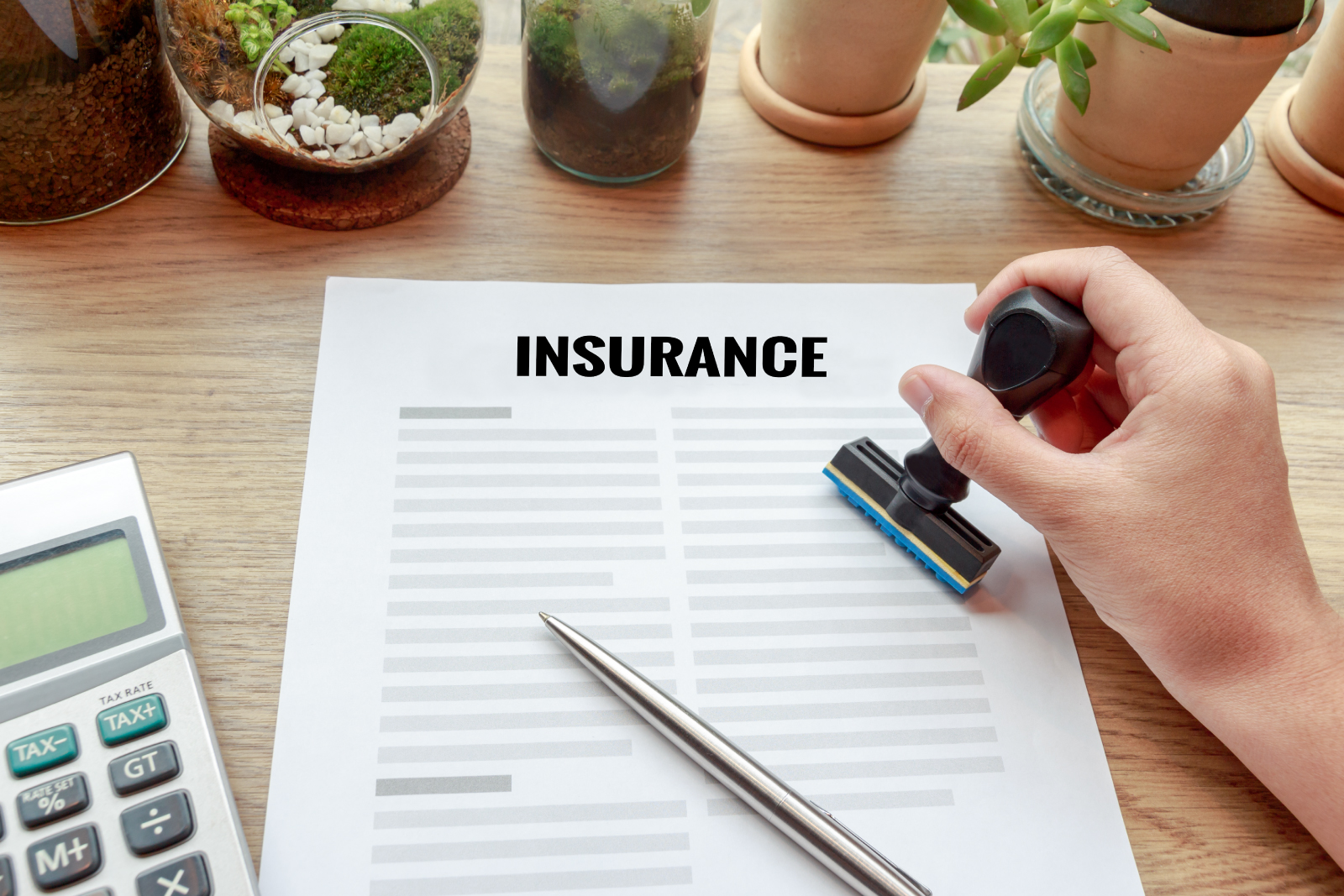 Insurance in 2025: Smart Coverage Options to Protect Your Financial Future